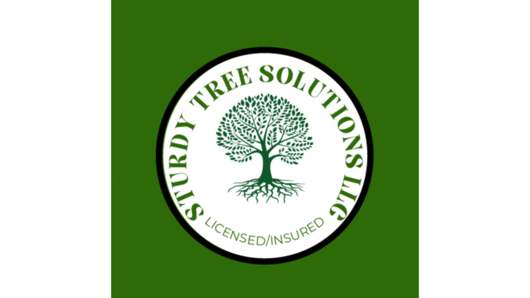 Sturdy Tree Solutions Adjusted 768x432